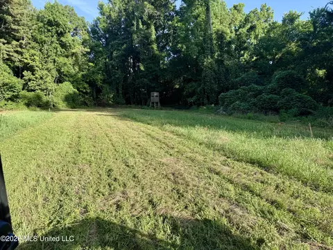 Ms-553, Fayette, MS 39069 photo 7