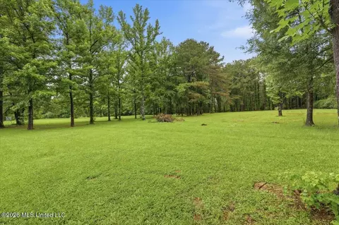 Exterior - 232 White, Florence, MS 39073 photo 10 of 11