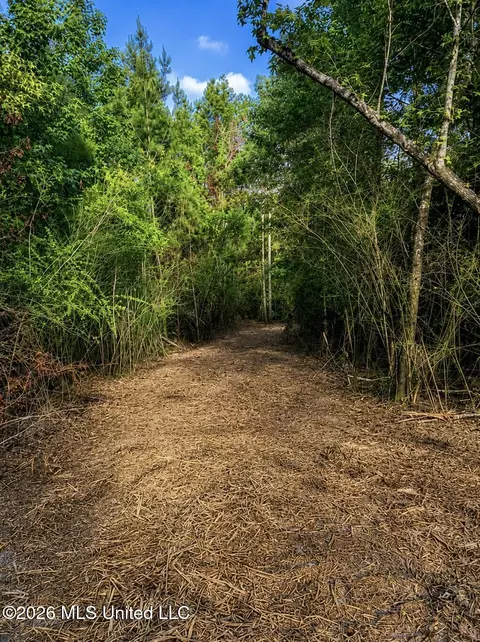 8847 County Road 77, Mize, MS 39116 photo 3
