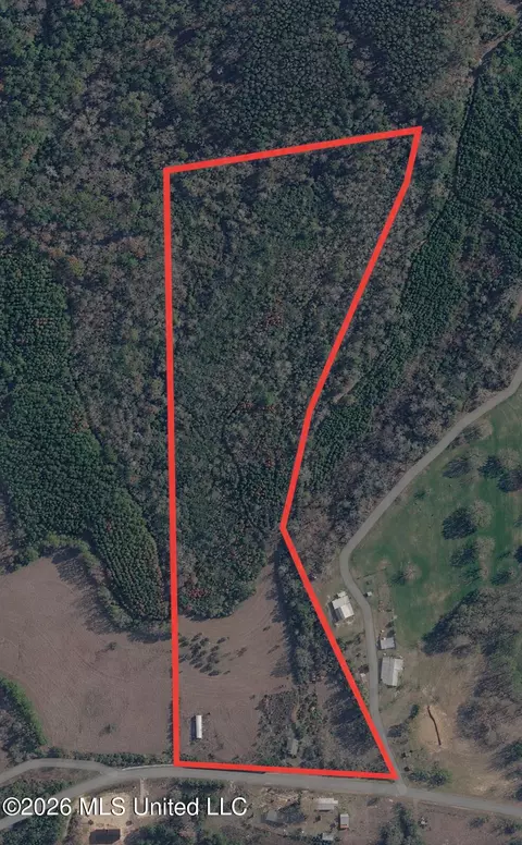 8847 County Road 77, Mize, MS 39116 photo 4