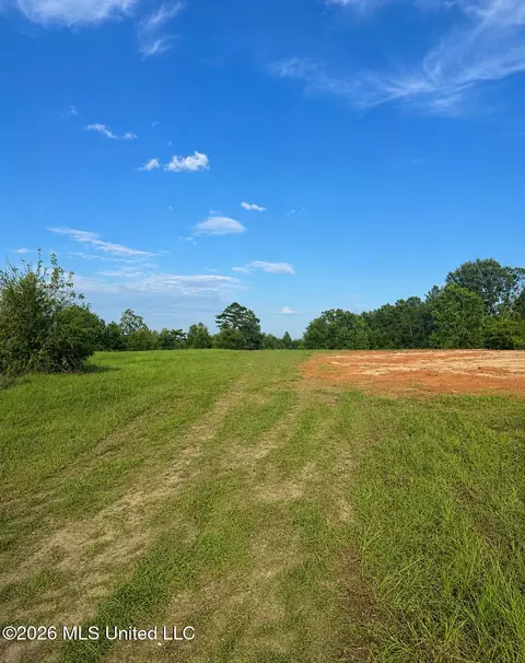 8847 County Road 77, Mize, MS 39116 photo 2