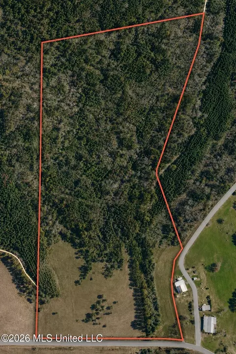 8847 County Road 77, Mize, MS 39116 photo 4