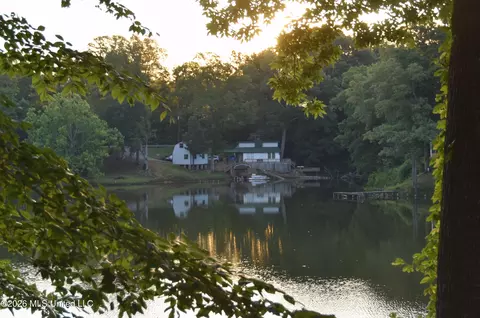 View/Area - 10863 Ben Vorlichs Head, Hernando, MS 38632 photo 3 of 10