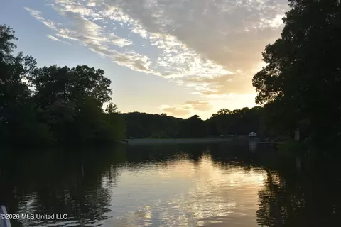 View/Area - 10863 Ben Vorlichs Head, Hernando, MS 38632 photo 10 of 10