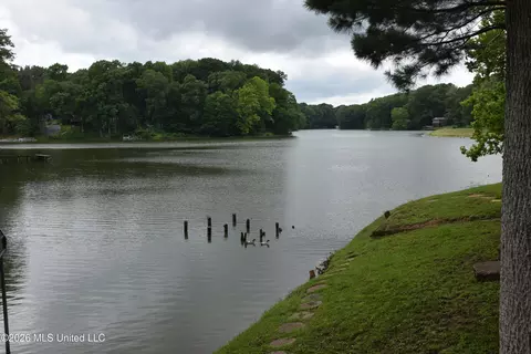 View/Area - 10863 Ben Vorlichs Head, Hernando, MS 38632 photo 6 of 10