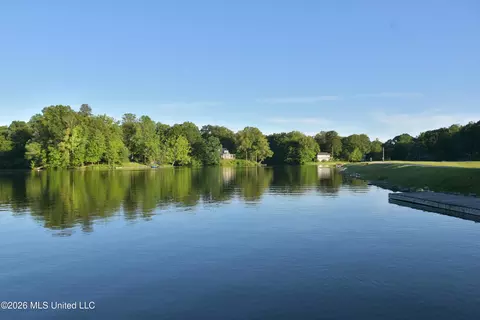 View/Area - 10863 Ben Vorlichs Head, Hernando, MS 38632 photo 9 of 10