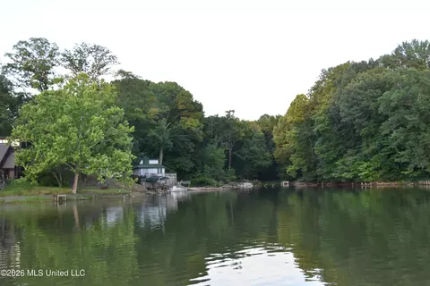 Other - 10863 Ben Vorlichs Head, Hernando, MS 38632 photo 8 of 10