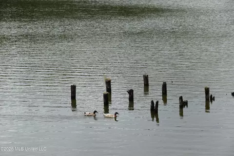 Other - 10863 Ben Vorlichs Head, Hernando, MS 38632 photo 9 of 10