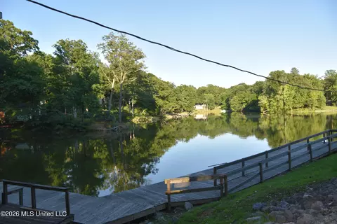 View/Area - 10863 Ben Vorlichs Head, Hernando, MS 38632 photo 7 of 10