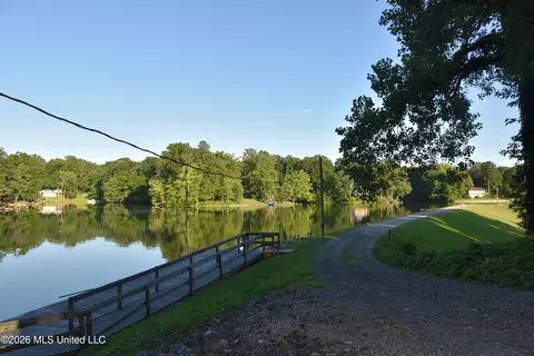 View/Area - 10863 Ben Vorlichs Head, Hernando, MS 38632 photo 8 of 10