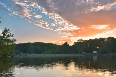 View/Area - 10863 Ben Vorlichs Head, Hernando, MS 38632 photo 2 of 10