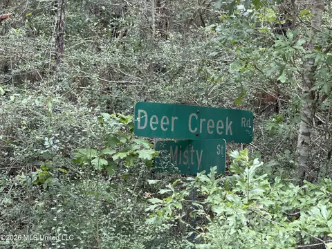 Misty Lane, Lumberton, MS 39455