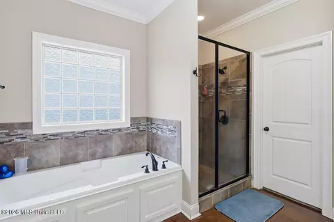 Bath - 247 Tucker Dr, Brandon, MS 39042 photo 1 of 2