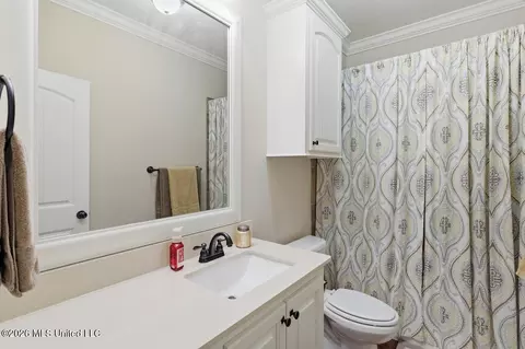 Bath - 247 Tucker Dr, Brandon, MS 39042 photo 2 of 2