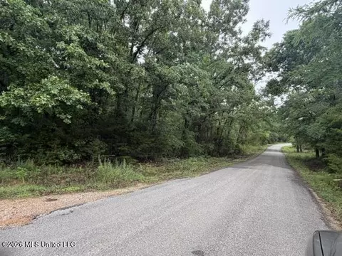 0 Broadway Rd, Potts Camp, MS 38659 photo 4