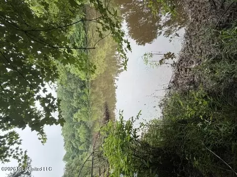 0 Broadway Rd, Potts Camp, MS 38659 photo 2