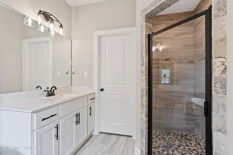 Bath - 3452 Kreunen St, Nesbit, MS 38651 photo 3 of 5