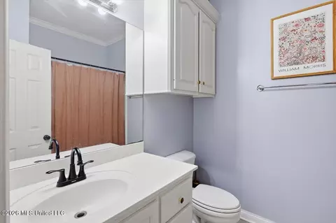 Bath - 406 Pecan Cir, Brandon, MS 39042 photo 3 of 3