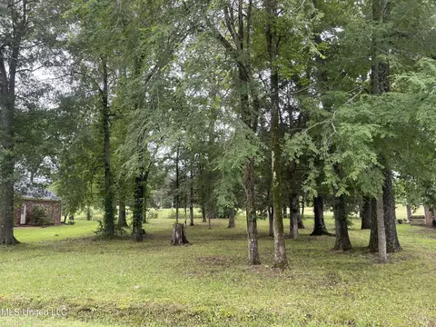 803 Oak Trl, Canton, MS 39046 photo 3