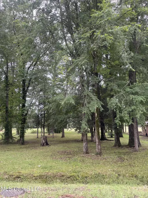 803 Oak Trl, Canton, MS 39046 photo 4
