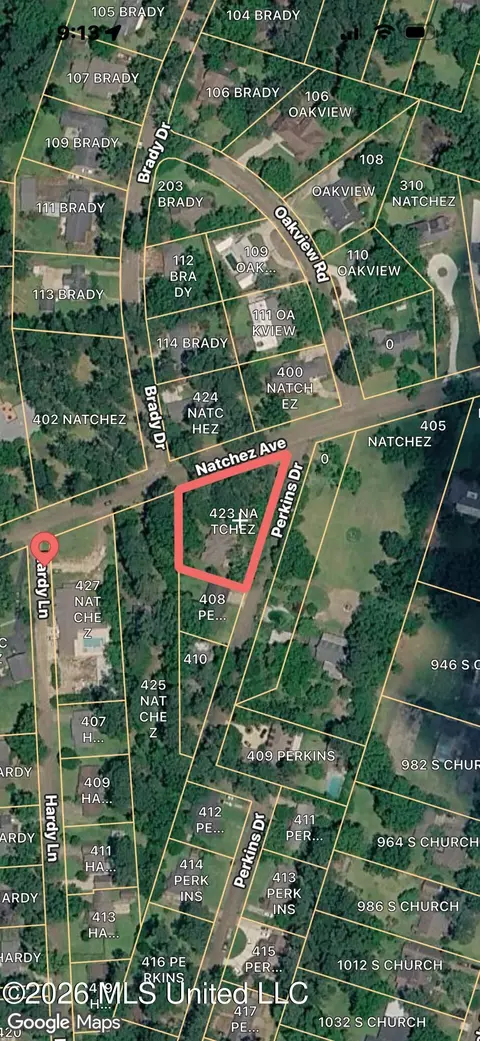 Other - 423 Natchez Ave, Brookhaven, MS 39601 photo 3 of 3