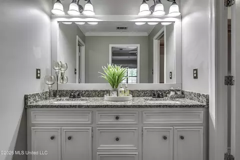 Bath - 826 Riverchase Dr, Brandon, MS 39047 photo 1 of 6