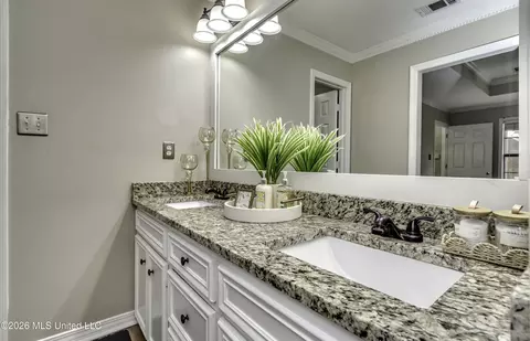 Bath - 826 Riverchase Dr, Brandon, MS 39047 photo 2 of 6