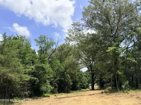 lot Apt 1 Wildwood At Pinehaven Dr, Jackson, MS 39209 photo 33