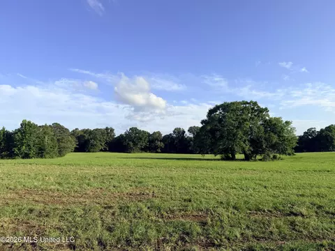 lot Apt 1 Wildwood At Pinehaven Dr, Jackson, MS 39209 photo 21