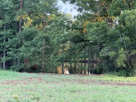 lot Apt 1 Wildwood At Pinehaven Dr, Jackson, MS 39209 photo 30