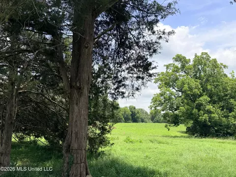lot Apt 1 Wildwood At Pinehaven Dr, Jackson, MS 39209 photo 6