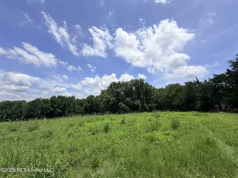 lot Apt 1 Wildwood At Pinehaven Dr, Jackson, MS 39209 photo 7