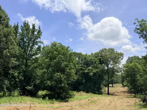 lot Apt 1 Wildwood At Pinehaven Dr, Jackson, MS 39209 photo 32