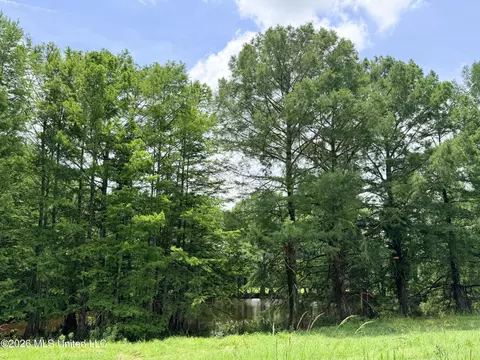 lot Apt 1 Wildwood At Pinehaven Dr, Jackson, MS 39209 photo 4