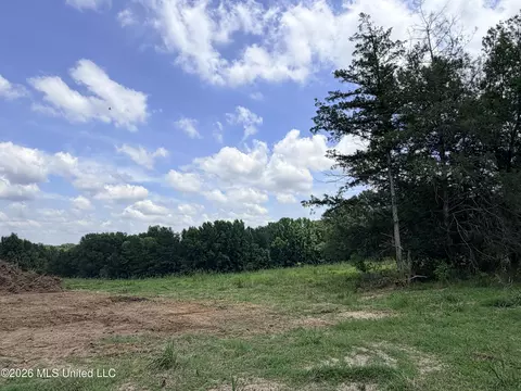 lot Apt 1 Wildwood At Pinehaven Dr, Jackson, MS 39209 photo 8