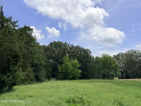 lot Apt 1 Wildwood At Pinehaven Dr, Jackson, MS 39209 photo 5
