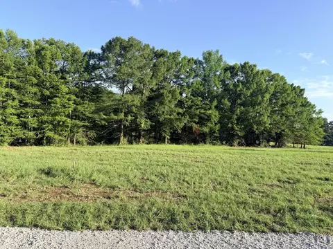 lot Apt 1 Wildwood At Pinehaven Dr, Jackson, MS 39209 photo 19