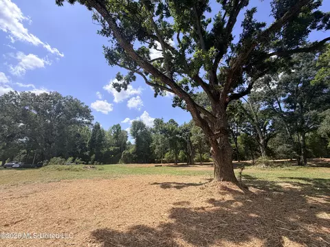 lot Apt 12 Wildwood At Pinehaven Dr, Clinton, MS 39056 photo 4