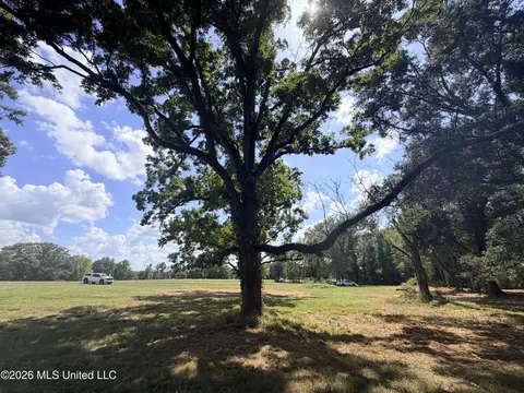 lot Apt 12 Wildwood At Pinehaven Dr, Clinton, MS 39056 photo 5