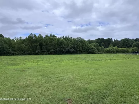 1010 Barr Rd, Coldwater, MS 38618 photo 5