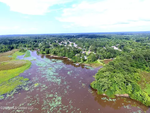 View/Area - 1109 Foxpoint, Brandon, MS 39047 photo 5 of 10