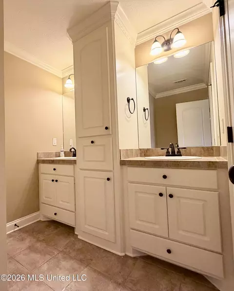Bath - 424 Julee Cir, Brandon, MS 39042 photo 10 of 11