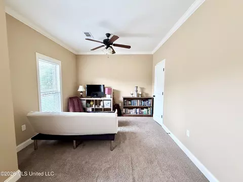 Other - 424 Julee Cir, Brandon, MS 39042 photo 4 of 9