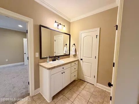 Bath - 424 Julee Cir, Brandon, MS 39042 photo 7 of 11