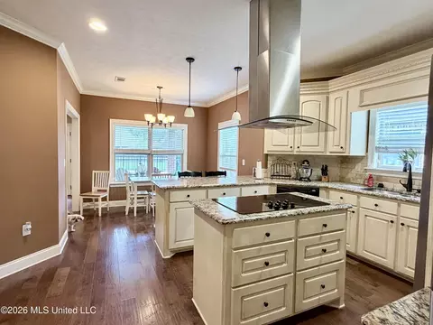 Kitchen - 424 Julee Cir, Brandon, MS 39042 photo 3 of 5