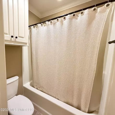Bath - 424 Julee Cir, Brandon, MS 39042 photo 11 of 11