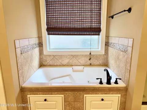 Bath - 424 Julee Cir, Brandon, MS 39042 photo 4 of 11