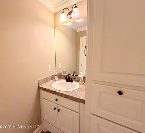 Bath - 424 Julee Cir, Brandon, MS 39042 photo 9 of 11