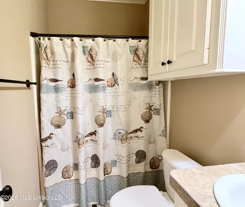 Bath - 424 Julee Cir, Brandon, MS 39042 photo 2 of 11
