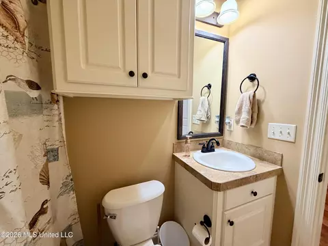 Bath - 424 Julee Cir, Brandon, MS 39042 photo 3 of 11